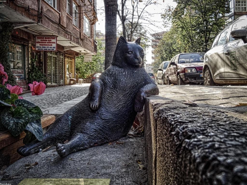 បច្ចេកទេសការភ្នាល់កម្រិតខ្ពស់សម្រាប់អ្នកជំនាញ