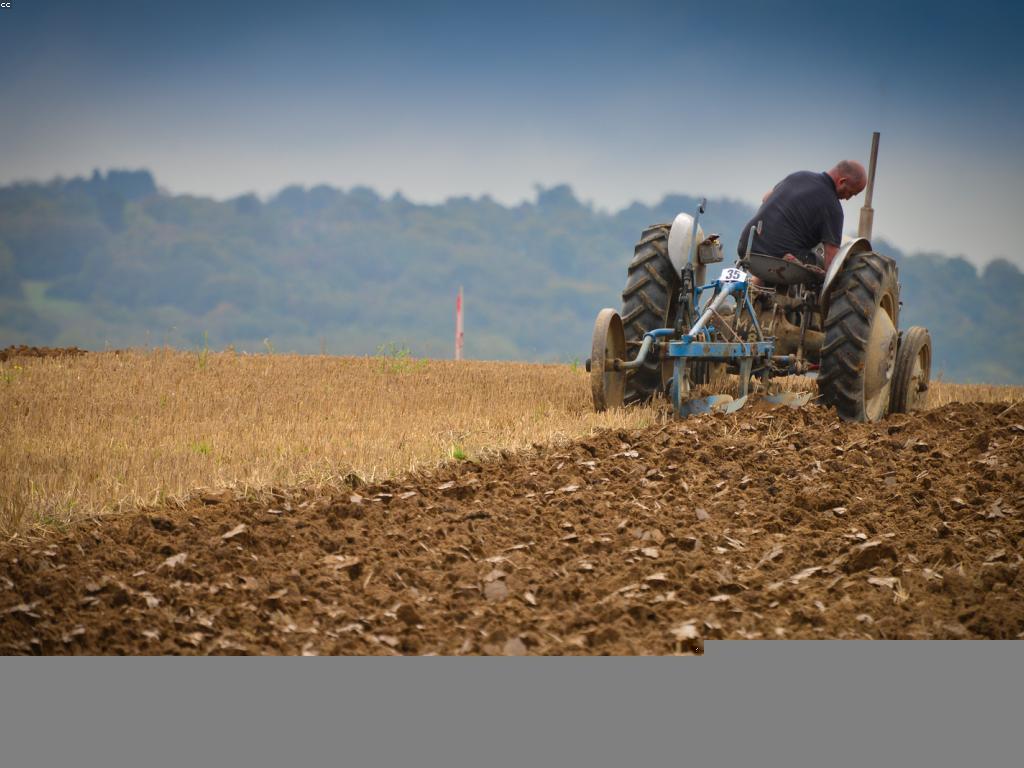 ផលប៉ះពាល់នៃព័ត៌មានកីឡា លើសង្គមទំនើប